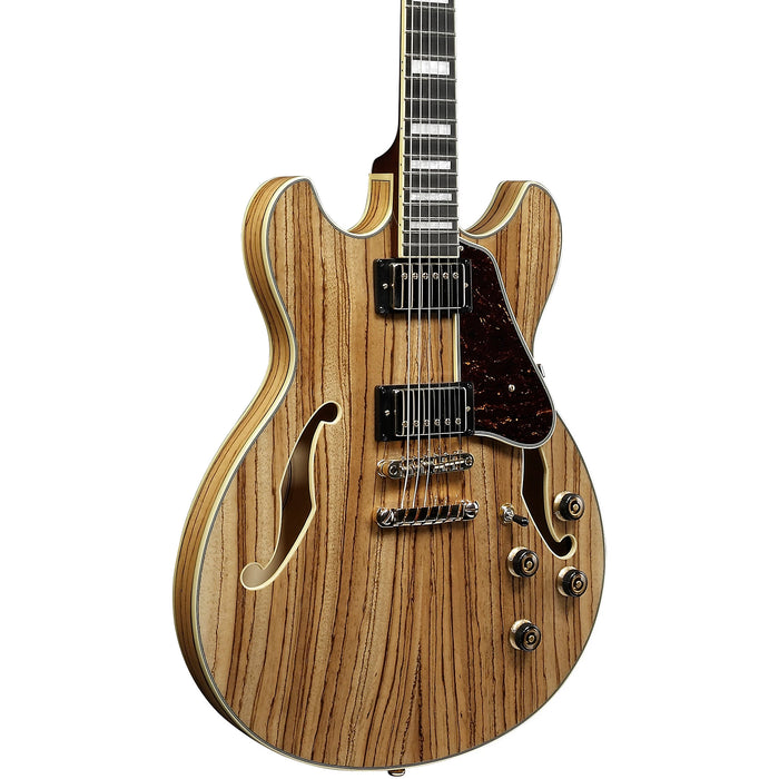 Artcore Expressionist AS93ZW Semi-Hollowbody Electric Guitar, Right, Natural