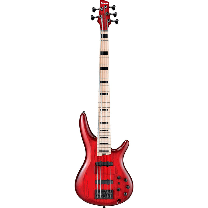 Adam Nitti ANB205 5-String Bass Guitar, Right, Transparent Wine Red Burst