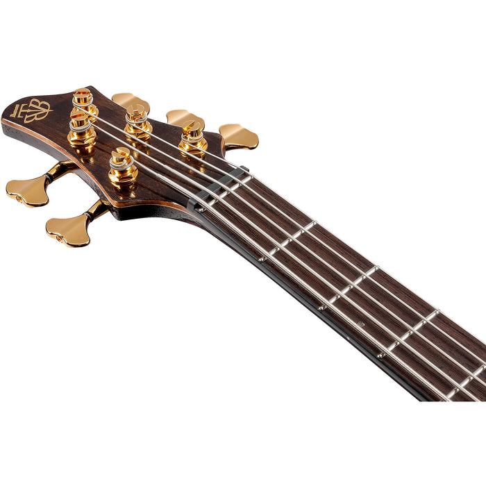 Premium BTB1935 5-String Solidbody Bass Guitar, Right, Caribbean Islet Low Gloss