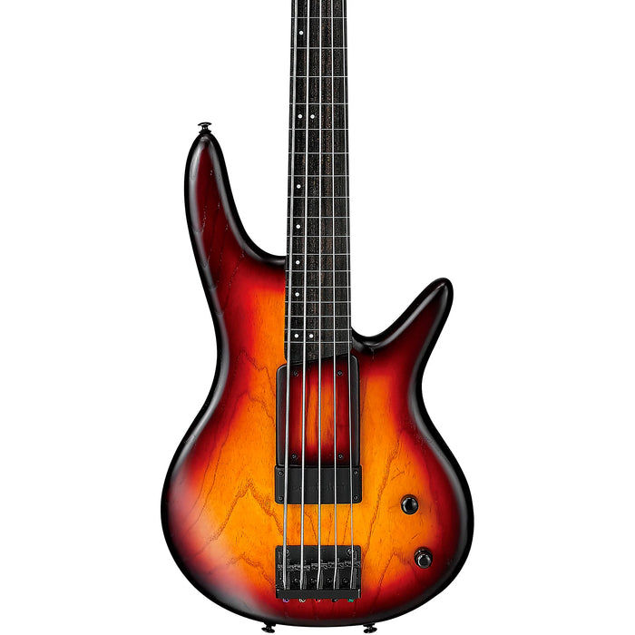 Gary Willis GWB205 5-String Fretless Bass Guitar, Right, Tequila Sunrise Flat