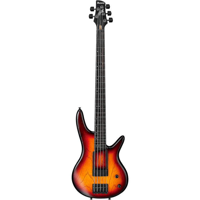 Gary Willis GWB205 5-String Fretless Bass Guitar, Right, Tequila Sunrise Flat