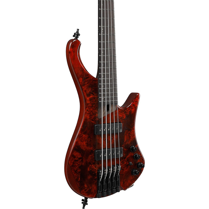 EHB1505 5-String Solidbody Bass Guitar, Right, Stained Wine Red Low Gloss