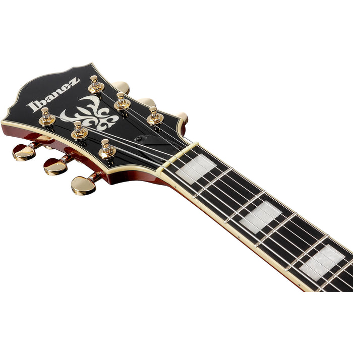 AF Artcore Expressionist AF95 6-String Hollowbody Electric Guitar, Right