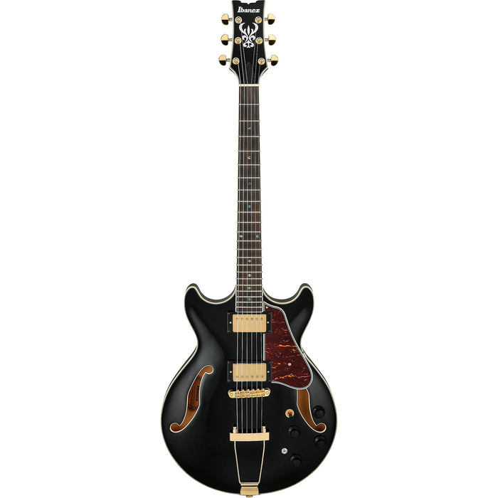 AM Artcore Expressionist AMH90 6-String Hollowbody Electric Guitar, Right