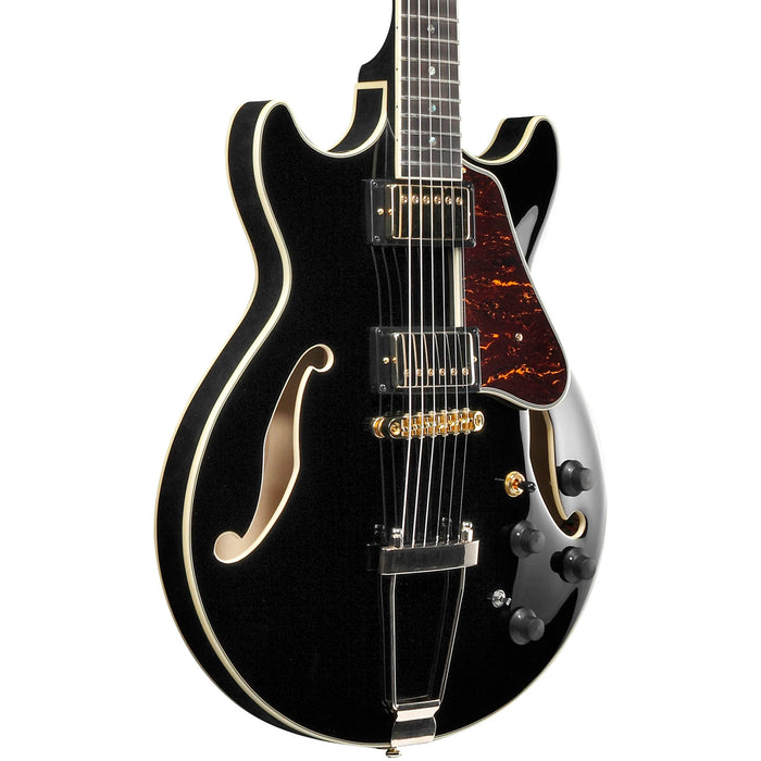 AM Artcore Expressionist AMH90 6-String Hollowbody Electric Guitar, Right