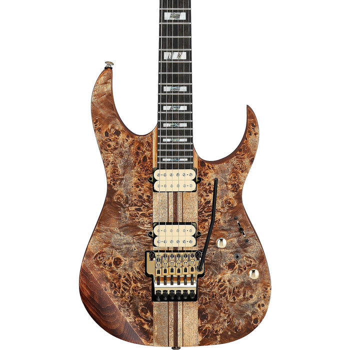 RG Premium RGT1220PB Solidbody Electric Guitar, Right, Antique Brown Stained