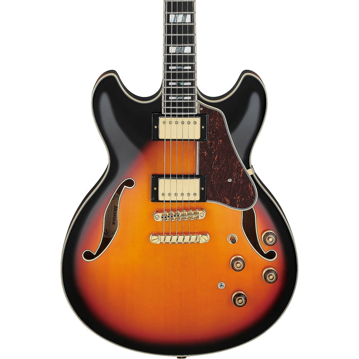 AS ArtStar AS113 Semi-Hollowbody Electric Guitar, Right-Handed, Brown Sunburst