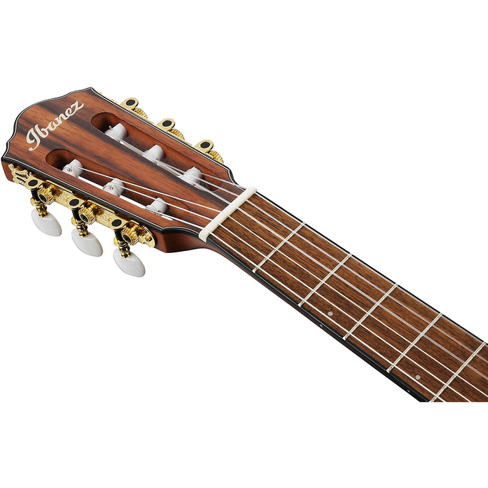 FRH10N 6-String Acoustic Electric Guitar with Walnut Fretboard, Right-Handed