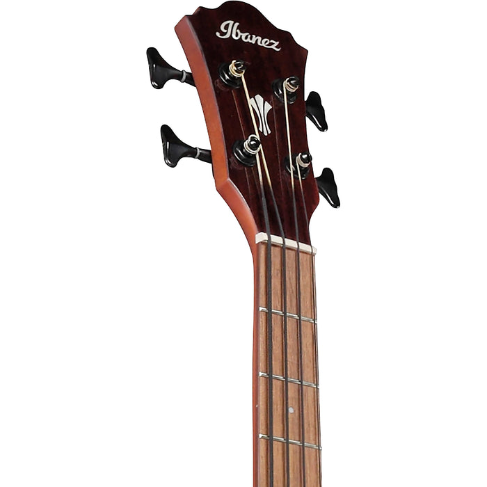 AEGB30E 4-String Acoustic Bass Guitar, Right-Handed, Natural High Gloss Top