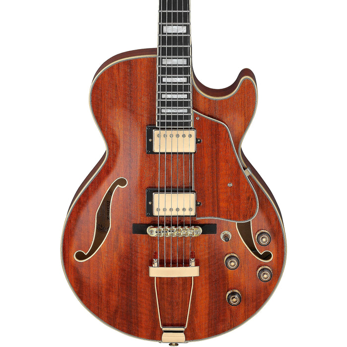 Artcore Expressionist AG95K Hollowbody Electric Guitar, Right-Hand, Natural