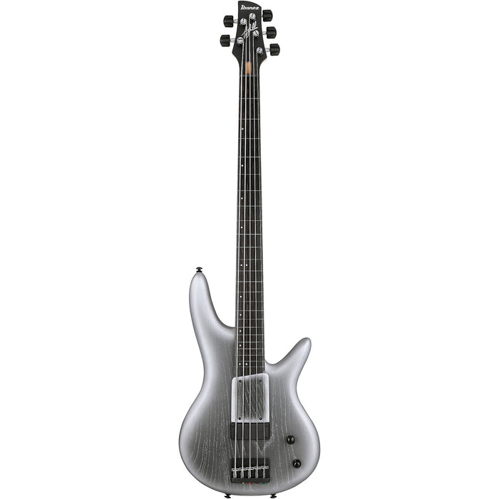 Gary Willis GWB25TH 5-String Fretless Bass Guitar, Right, Silver Wave Burst Flat