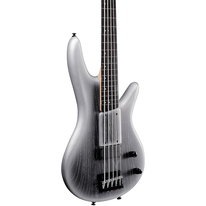 Gary Willis GWB25TH 5-String Fretless Bass Guitar, Right, Silver Wave Burst Flat