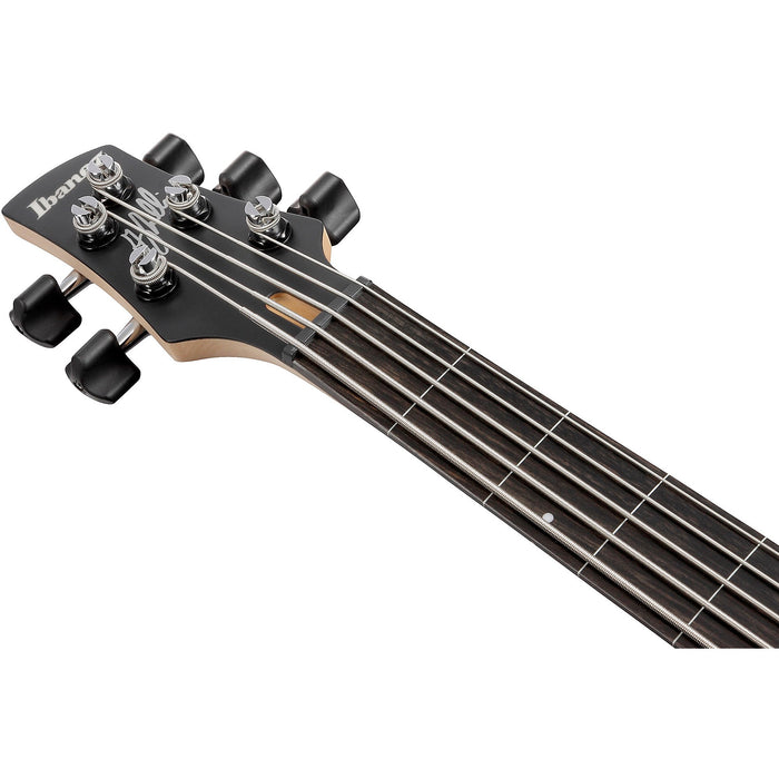 Gary Willis GWB25TH 5-String Fretless Bass Guitar, Right, Silver Wave Burst Flat