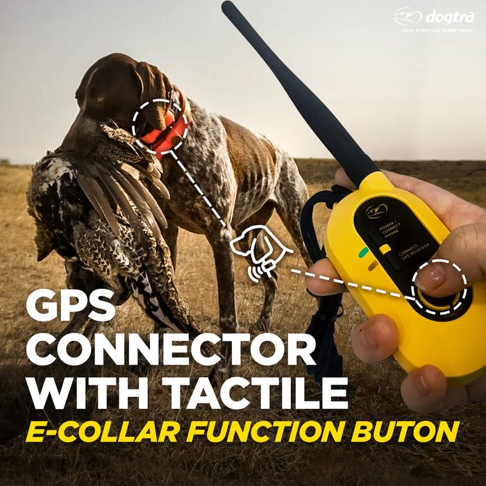 Pathfinder 2 9-Mile GPS Tracking and Training E-Collar | 21-Dogs Expandable