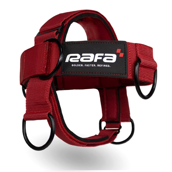 Iron Neck RAFA Versatile Neck Strengthener and Trainer with Adjustable Head and Chin Straps