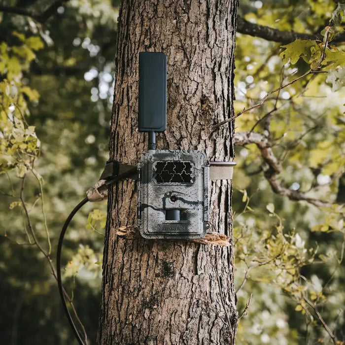 Spartan Gocam 4G LTE Cellular Trail Camera with Three Carrier Options