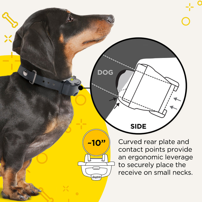 iQ Mini 400-Yard Additional Dog Training Receiver, Golden Yellow