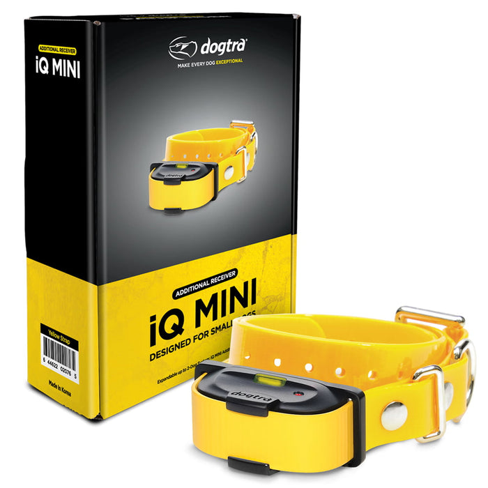 iQ Mini 400-Yard Additional Dog Training Receiver, Golden Yellow